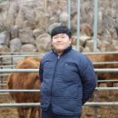 투머치목장 이미지