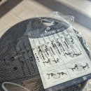 집에서 따라할 수 있는 소도구 필라테스 | 멜킨 밸런스보드 필라테스링 코어 근육 홈트 후기