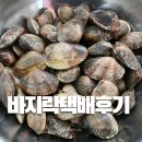 고흥 | 봄 제철음식 바지락 요리 고흥바지락 택배 후기