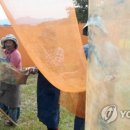 물드림염색공방