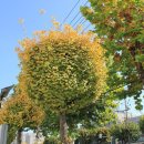 풍경프라자 이미지