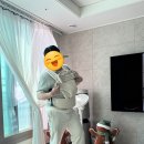 아거스 | 아티포페 아기띠(자이가이스트 아거스 오트) 구매후기&할인링크