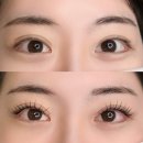 비니뷰티 | 당진 속눈썹연장 맛집 ❛비니뷰티❜에서 핫한 애니메연장 받은 후기