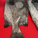 돔수산초밥 이미지