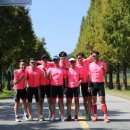 철인태권스쿨 이미지