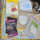 동구청로 | 초보자도 안심할 수 있는 베이비파충류샵 대전점 솔직후기