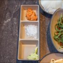 모범돼지 이미지