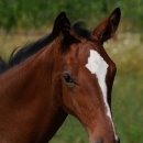 한양스크린골프장(스크린) 이미지