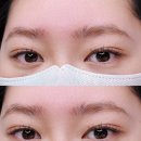 나래속눈썹