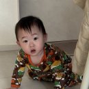 웰리스 동물병원 | 26년 1월 시작 !