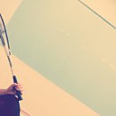 대한스포렉스 이미지