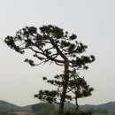 먹거리대장