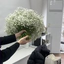 (유)구디퀵 | 구디꽃집 추천, 페브러리플라워 (Febflower )후기🌷