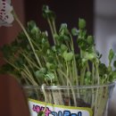 동화마을어린이집 이미지