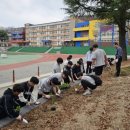 성의중학교 이미지