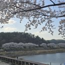 회야강변 이미지