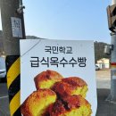 콘이코니 이미지