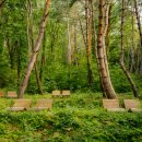 합천불고기 이미지