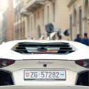 강아지 나라 이미지