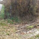 불은면-1 이미지