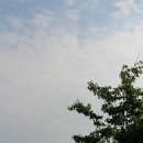 섬-달갤러리 이미지