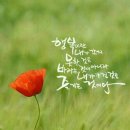 양지메디컬 이미지