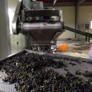 명지농원 이미지