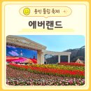 튤립 | 에버랜드 튤립축제 후기 2026 봄 데이트코스 솔직 리뷰