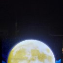 강원감영 | 원주 가볼만한곳 🌿 강원감영 여행후기