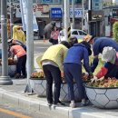 내이동행정복지센터 이미지