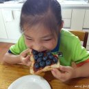 블루베리스토리 이미지