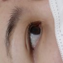 독산동 속눈썹펌 잔흔제거 잘하는 누니아 독산점