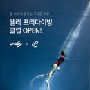 웰니스업