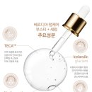 베르디아