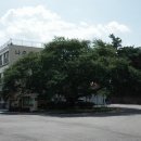 나주봉황중학교 이미지