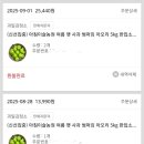 마실옥션
