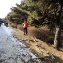 3.1.공원 이미지