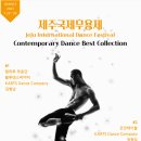 제1회 제주국제무용제 이미지