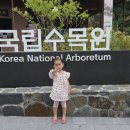 또리식당 | 포천 국립수목원 예약 후 방문 후기(예약방법, 주차, 맛집)