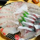 맛집- 유서방 회 떠가시다] 남해 고등어회 참돔회 우럭회 포장 맛집 유서방 회 떠가시다 내돈내산 후기