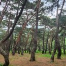 낙수농장 이미지