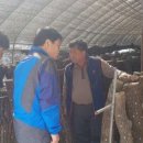 장석농장 이미지