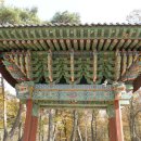 [울산] 가지산(迦智山)석남사(石南寺) 2013.11 이미지