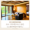 소노펠리체 빌리지 델피노 | 고성-대가족여행 떠나기 좋은 &#39;소노펠리체 빌리지 델피노-실버 스위트&#39;재방문 후기