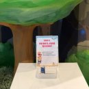 가자2 | 부산 영도 짱구 전시 짱구야 캠핑가자 시즌 2 : 두 번째 이야기 관람 후기