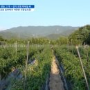 우일농장 이미지