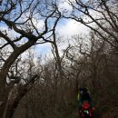 지리산 단풍비 이미지