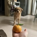 (주)도이프 이미지