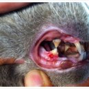 애경동물병원 이미지