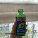 한국택시구미협동조합 | 도쿄 2일차: 롯폰기 부타구미/긴자 웨스트 아오야마 가든점/국립신미술관/아자부다이힐즈/소바메야마토